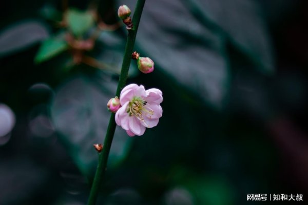 可靠的股票配资平台 远离这样的人，不是薄情，而是清醒