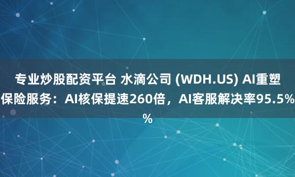 专业炒股配资平台 水滴公司 (WDH.US) AI重塑保险服务：AI核保提速260倍，AI客服解决率95.5%
