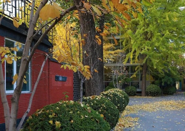 好的股票配资平台 中秋过后，5个器官容易“受伤”！养生指南请收好